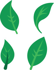 Leaf logo icon vector .