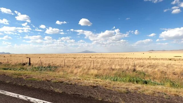 New Mexico Driving 1001 San Antonio Datil