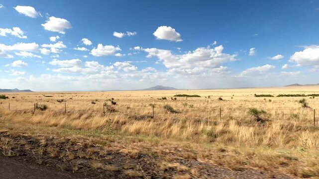 New Mexico Driving 1002 San Antonio Datil