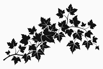 ivy clean line art silhouette vector illustration