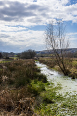 A stream in Rural Sussex near Lewes
