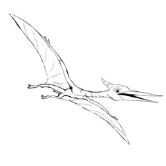 Dinosaur Hand drawing line art coloring book illustration, coloring page for kids and adults, transparent background png