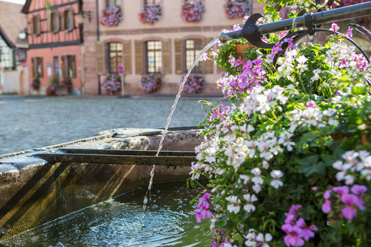 A fountain with flowers in the old city of Bergheim in the partly German speaking Region Grand Est (Elsass) in France