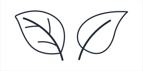 Leaf icon symbol vector sign isolated on white background illustration for graphic and web design