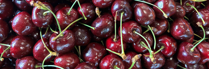 Panorama of fresh ripe cherries at a market stall