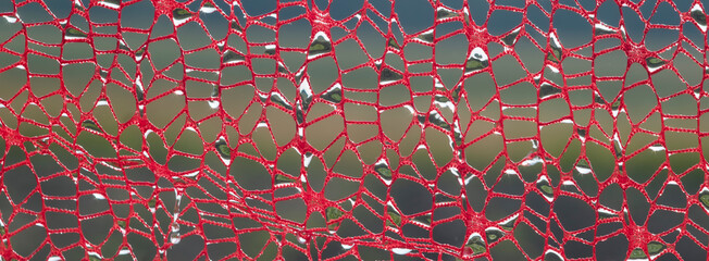 A fragment of lace fabric against the background of nature