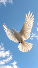 Fototapeta premium Holy dove on sky background