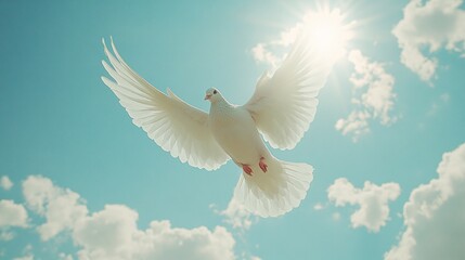Fototapeta premium Religious background with white dove flying in the sky