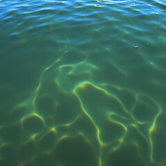 Glowing Algae Bloom Under Rippling Water Surface in Green Ocean