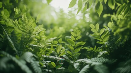 Fototapeta premium panoramic view of the nature, green nature scenery, fresh nature