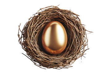 Nest filled with golden egg isolated on white transparent background. The concept symbolizes wealth, investment, and financial security