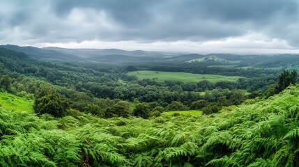 Obraz premium panoramic view of the nature, green nature scenery, fresh nature