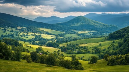 Fototapeta premium panoramic view of the nature, green nature scenery, fresh nature
