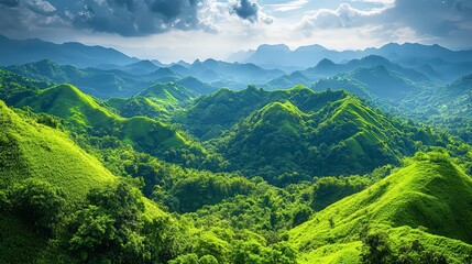 Obraz premium panoramic view of the nature, green nature scenery, fresh nature