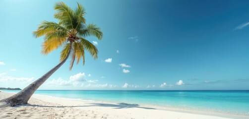 Fototapeta premium Seascape with palm tree on white sand beach, turquoise ocean water, blue sky. Sunny day, tropical paradise, vacation destination. Relaxing tranquil scene on exotic island shore. Shadow on sand.
