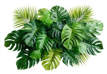 Tropical foliage arrangement, top view