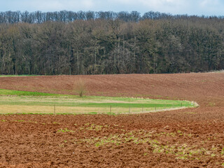 Agralandschaft im Frühjahr