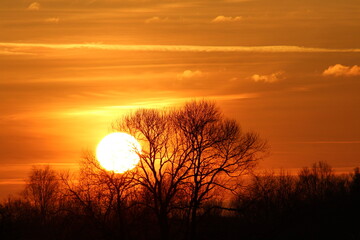 Beautiful red and orange sunset over the trees. Beautiful nature scenery, Amazing light of nature sunset background. Beautiful golden sunset over the trees. Amazing sunset background wallpaper 
