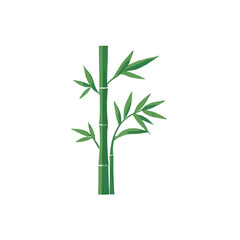 Simple Detailed Tropical Bamboo
