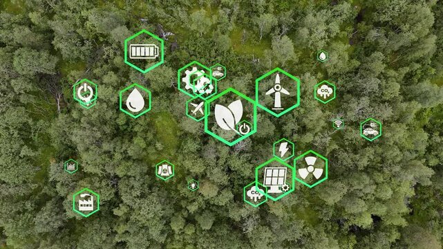 CO2 reduce. Net zero. Net zero emission, 2050, carbon neutral concept. Greenhouse gas emissions target. Climate neutral long term strategy 2050 with net zero icons on green forest landscape