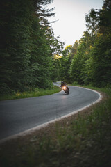 Jazda na motocyklu