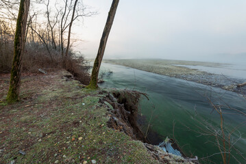 a winter foggy sunrise along the Ticino riverbank, Besate, Milano province