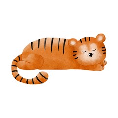 A cute sleeping tiger on a white background