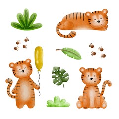 A cute tiger in different poses with leaves, paws and grass on a white background 