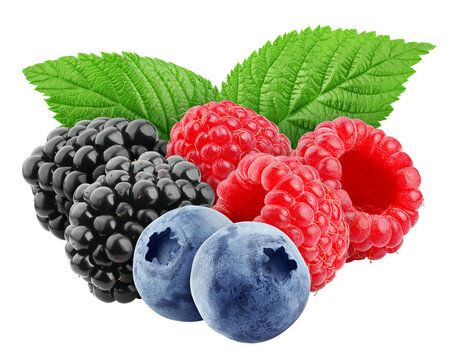 wild Berries mix, raspberry, blueberries, blackberries isolated on white background, full depth of field