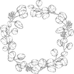 Line art circular wreath made of Eucalyptus leaves. Botanical illustration with eucalyptus Foliage