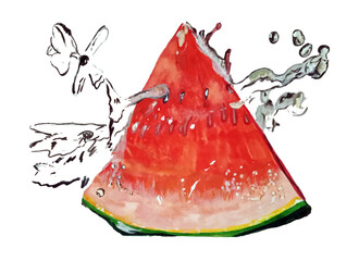 Watercolor drawing, watermelon with splashes of water on a white background