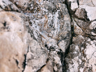 Natural rocky surface with intricate patterns and textures in beige tones, beauty of geological formations