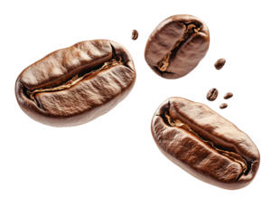 Three Roasted Coffee Beans on a Transparent Background, PNG