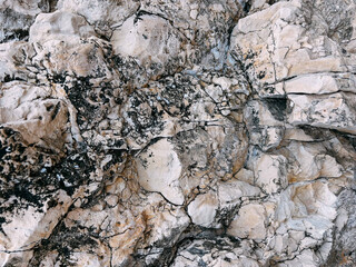 Natural rocky surface with intricate patterns and textures in beige tones, beauty of geological formations