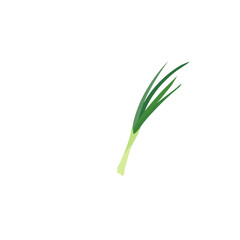 Green onion illustration