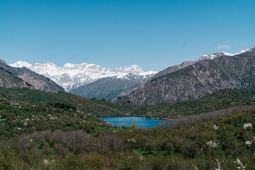 Breathtaking panorama of Kyrgyzstan's majestic mountains and serene lake reflecting the clear blue sky