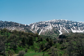 Majestic snow-capped mountains rise above the lush green valleys of Kyrgyzstan on a clear sunny day
