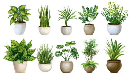 Obraz premium Ten potted plants growing on transparent background