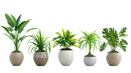 Obraz premium Five potted plants showing green leaves on transparent background