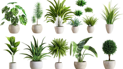 Fototapeta premium Various potted plants showing vibrant green leaves on transparent background