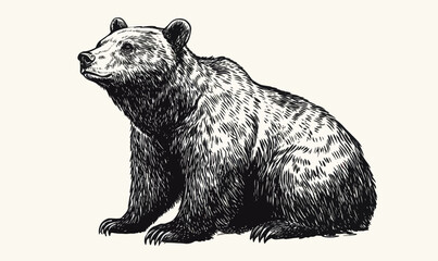 Obraz premium Intricate Hand-Drawn Bear Mascot in Engraving Style Vector Illustration