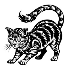 Fototapeta premium A Curious Cat Standing Ready to Pounce 