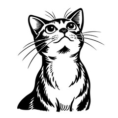 Obraz premium a cute cat looking upwards with curiosity