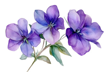 Delicate Watercolor Purple Flowers