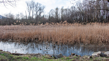 South Park in city of Sofia, Bulgaria