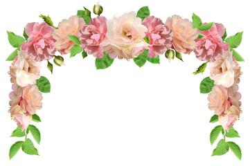 pink rose flowers frame isolated on transparent background