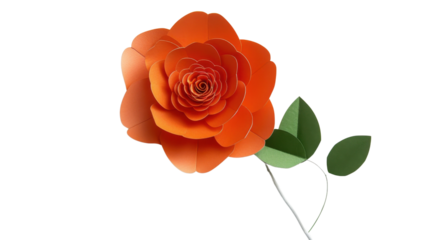Vibrant orange paper rose blooming with green leaves on transparent background