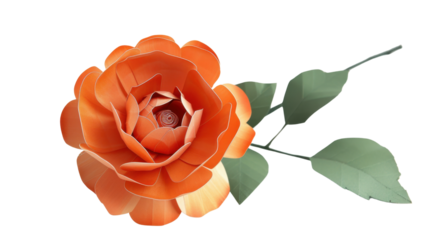 Orange paper rose blooming with green leaves on transparent background