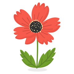 Red anemone flower vector illustration isolated on white background