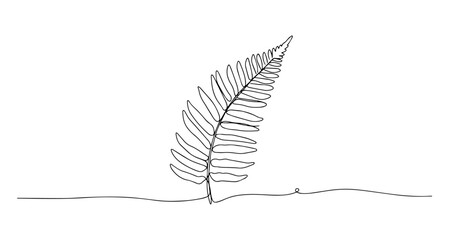 fern leaf vector line art monoline one line illustration outline drawing © Wieslaw